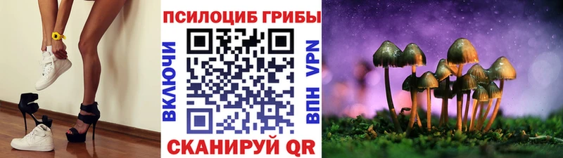 Галлюциногенные грибы Psilocybine cubensis  площадка формула  Белёв 